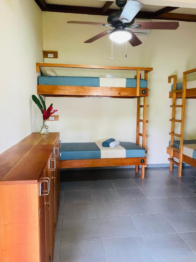 El Hostel Del Patio Tortuguero Exterior photo