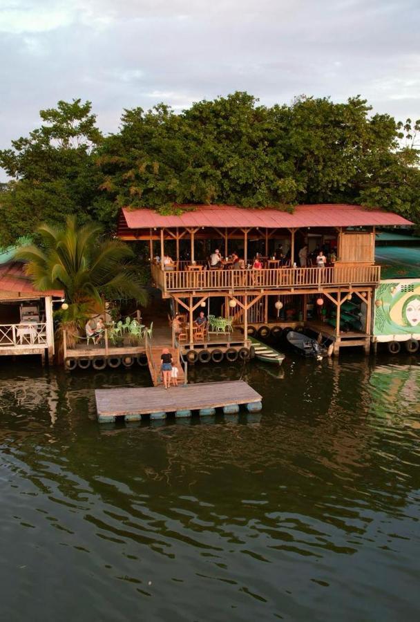 El Hostel Del Patio Tortuguero Exterior photo